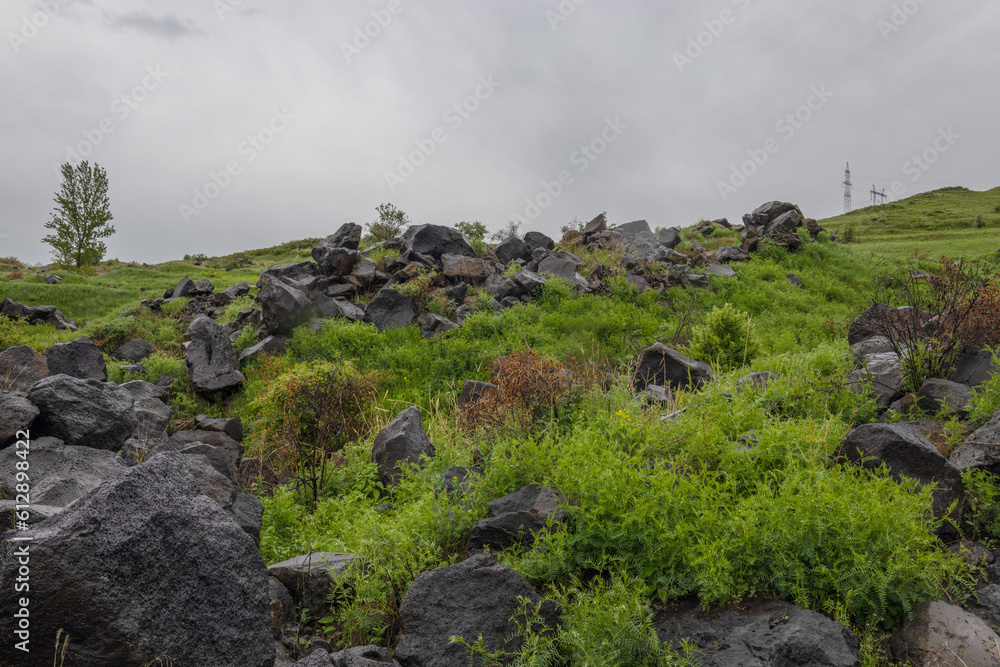 Vibrant green grass among big rocks after heavy rain
