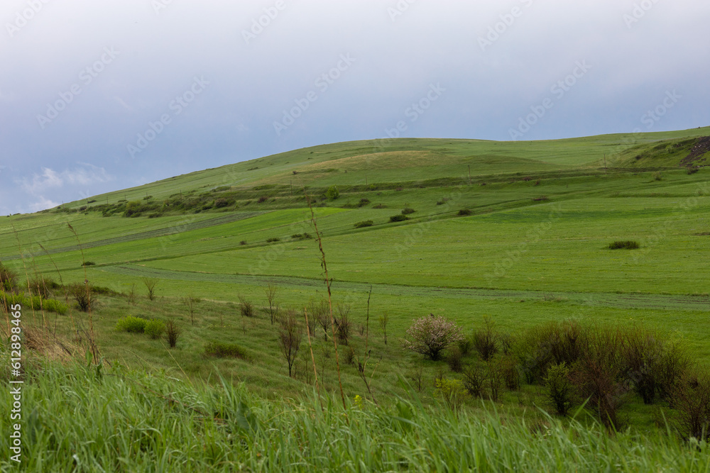 Beautiful hill fully covered with lush green grass on a rainy spring day
