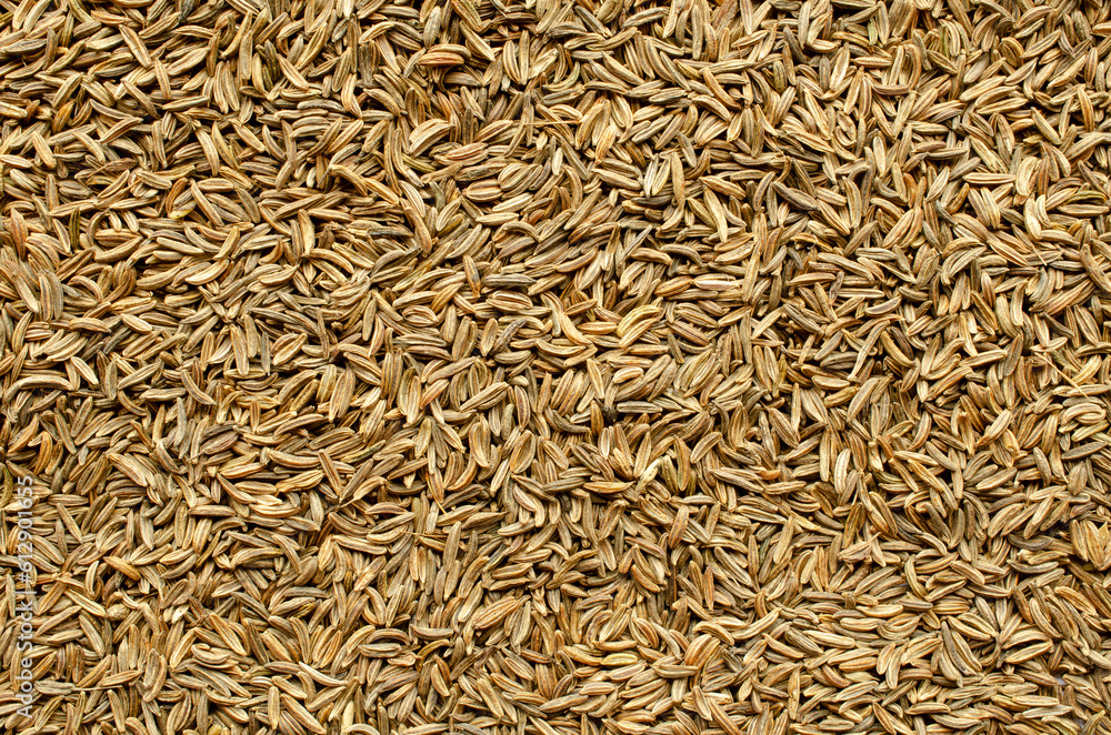 Background from dry cumin seeds, top view. Heap of caraway seeds, macro photography, texture. Pile of caraway seeds as a background texture composition. Background from caraway seeds, top view. Background from dry cumin seeds, top view. Heap of caraway seeds, macro photography, texture. Pile of caraway seeds as a background texture composition. Background from caraway seeds, top view.