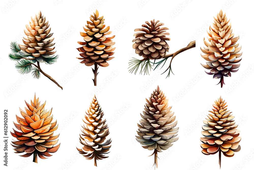 Watercolor pine cone set. Generative Ai