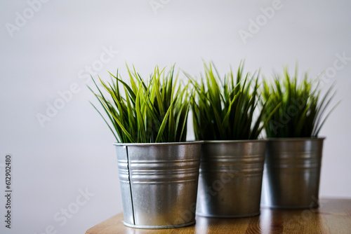 green plants in flowerpots