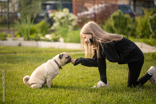 Dog training. Pug. The girl plays with the dog. Pet care.