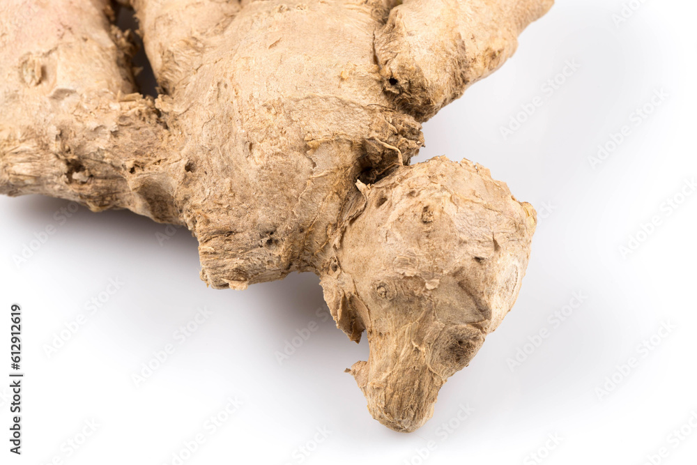 fresh ginger on white background fresh ginger on white background
