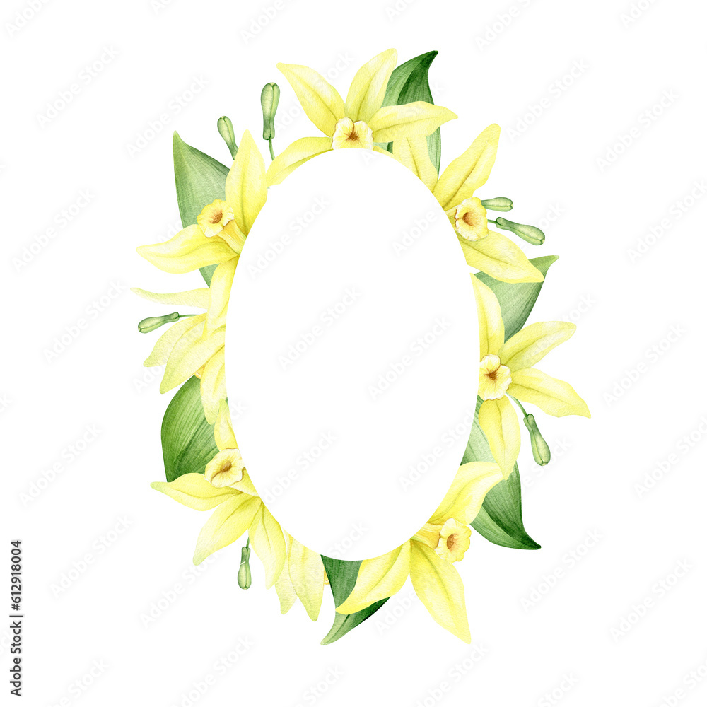 Frame of yellow vanilla flowers. Wreath with tropical exotic flowers. Watercolor illustration. Isolated. Flavoring for cooking. For greeting cards, postcard, scrapbooking, packaging design Frame of yellow vanilla flowers. Wreath with tropical exotic flowers. Watercolor illustration. Isolated. Flavoring for cooking. For greeting cards, postcard, scrapbooking, packaging design