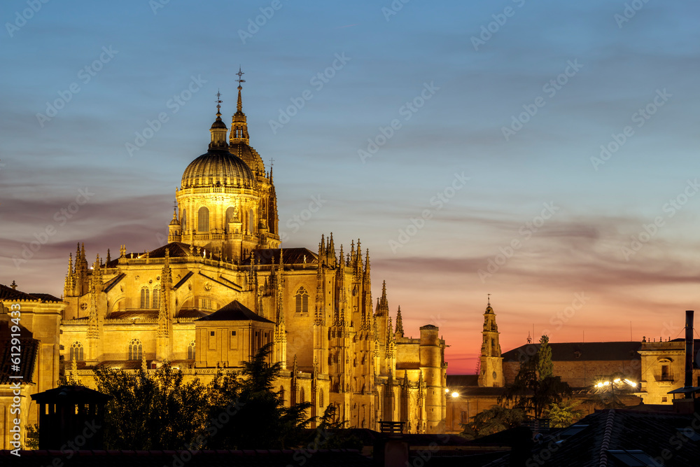 skyline of salamanca at night with illuminated buildings and with the sky with clouds