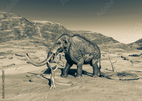 colossadon mammoth is walking among the dead trees on the dry desert