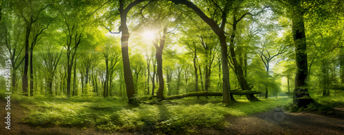 Beech forest panorama and the sun, with bright rays of light beautifully shining through the trees. Generative AI © waichi2013th