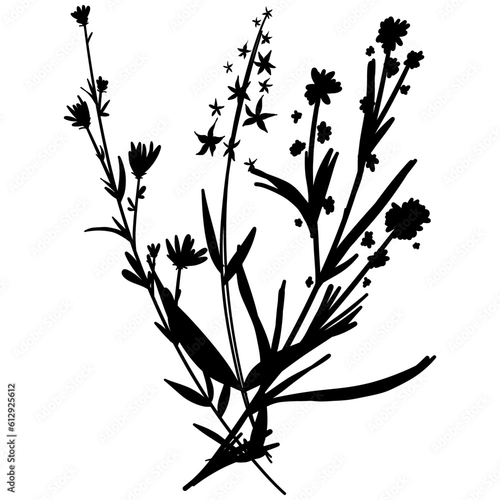Silhouette botanic blossom floral element. Branch with leaves and flowers. Black hand drawing wildflower bouquet. Vector illustration herbs isolated on white background Silhouette botanic blossom floral element. Branch with leaves and flowers. Black hand drawing wildflower bouquet. Vector illustration herbs isolated on white background