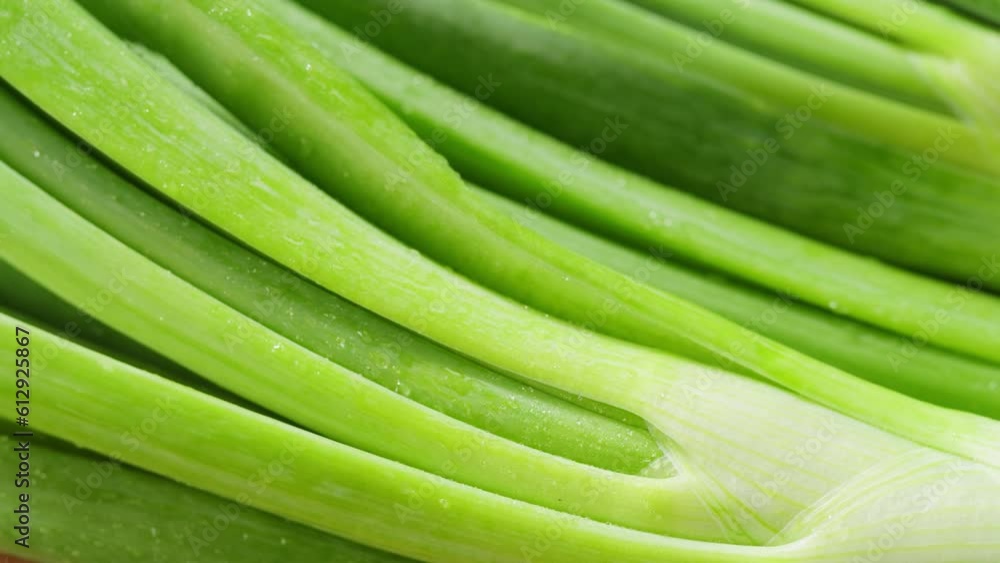 Bunch of green onion feathers with drops of water on a cutting board, Close-up macro rotating shot. Bunch of green onion feathers with drops of water on a cutting board, Close-up macro rotating shot.