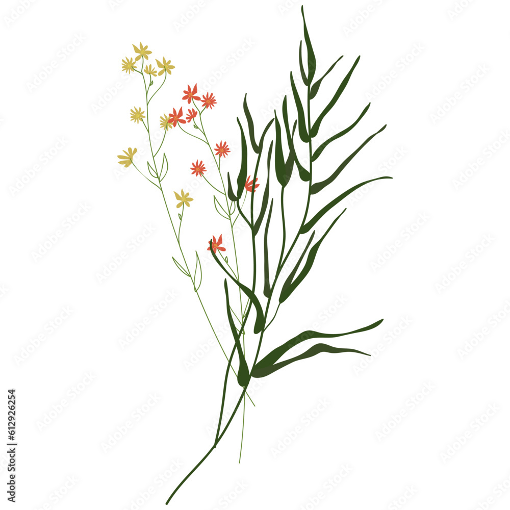 Obraz premium Field Flowers on Branch. Wildflower Icon. Hand Drawn 