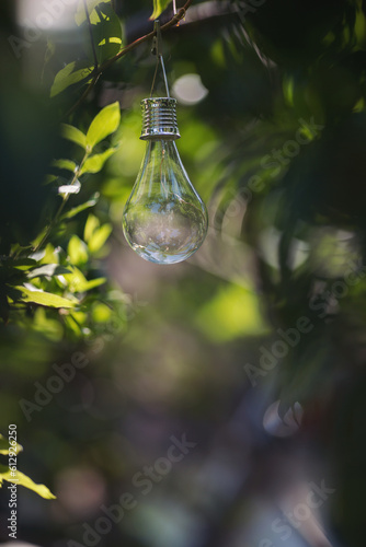 Light bulb on tree in forest. Decorative light bulb in garden. Environmental technology. Sustainable development goals. Environmental protection, sustainable energy sources. Energy saving light bulb.