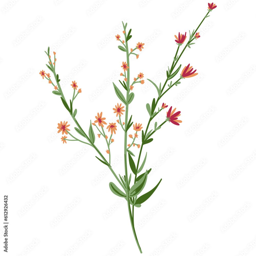 Field Flowers on Branch. Wildflower Icon. Hand Drawn Field Flowers on Branch. Wildflower Icon. Hand Drawn