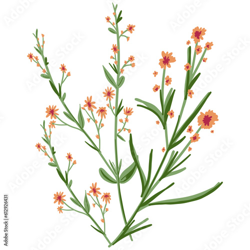 Field Flowers on Branch. Wildflower Icon. Hand Drawn 