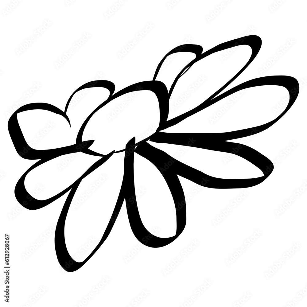 Daisy Flower Icon. Simple Hand Drawn Floral Element. Black Sketch ink Drawing Plant. Wildflower Daisy Flower Icon. Simple Hand Drawn Floral Element. Black Sketch ink Drawing Plant. Wildflower