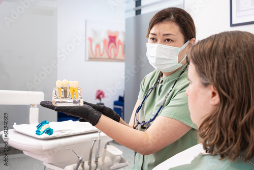Dental professional displaying a model of human teeth to a patient at a modern stomatology clinic  discussing dental implant procedures  the benefits of dental implants