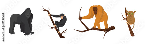 Monkey as Arboreal Ape with Long Tail Sitting on Branch Vector Set