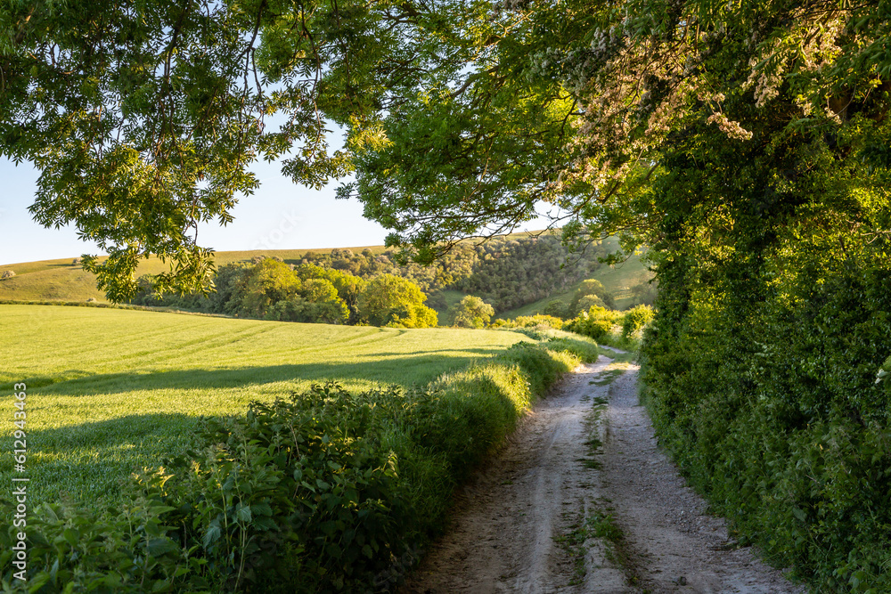Obraz premium A track alongside farmland in rural Sussex