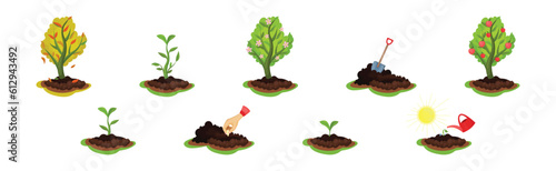 Soil or Ground with Growing Plant as Garden Growth Vector Set