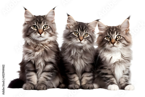 Wallpaper Mural Cute cats on white background, pets concept, realistic 3D illustration, generative ai Torontodigital.ca