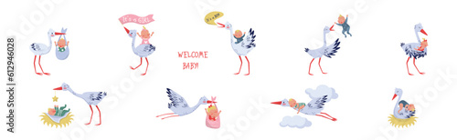 Funny Stork Animal Carrying Little Baby Vector Set
