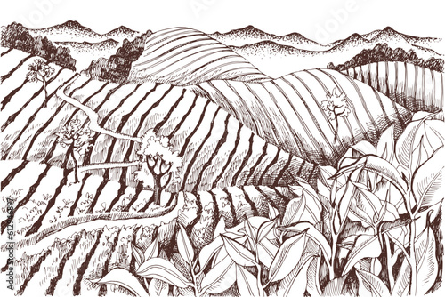 Vintage retro style image of green tea plantations