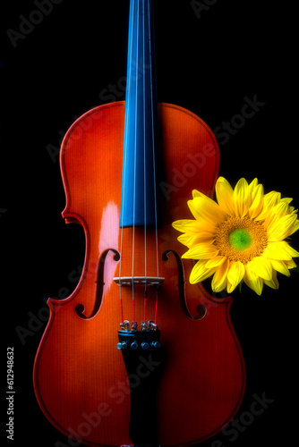 Sunflower With Beautiful Violin