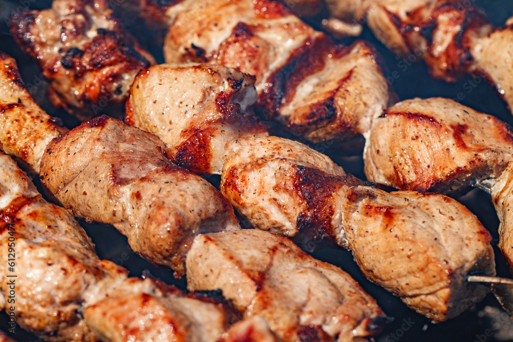 Barbecue, pieces of grilled meat, close-up, selective focus