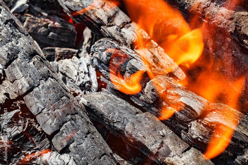 Charcoal is burning with fire on barbecue, close-up, selective focus