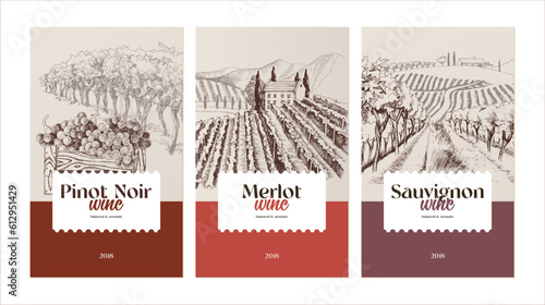 Hand drawn wine labels design templates