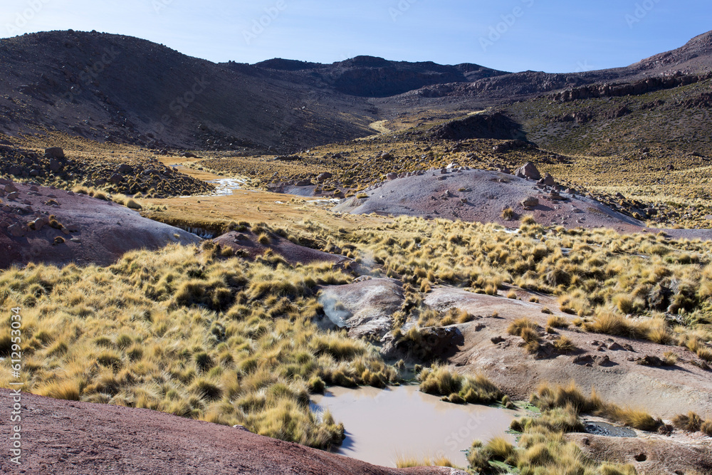 View of hot and boiling water at  El Tatio