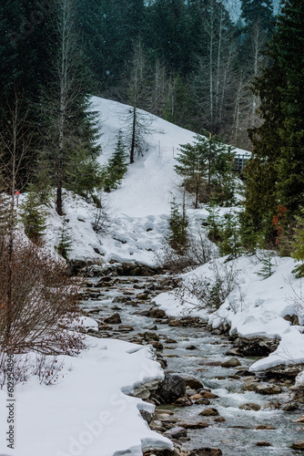 river in the snowy forest
