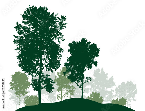 Beautiful landscape, silhouette of deciduous trees and bushes, forest. Vector illustration