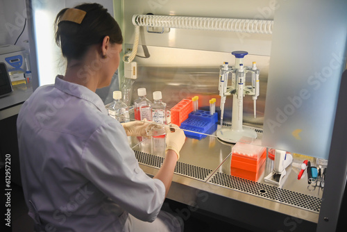 Cell culture researcher in the laboratory.