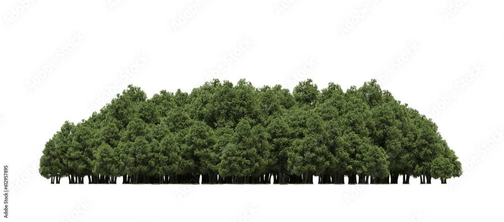 group of trees isolated on a transparent background, big trees in the ...