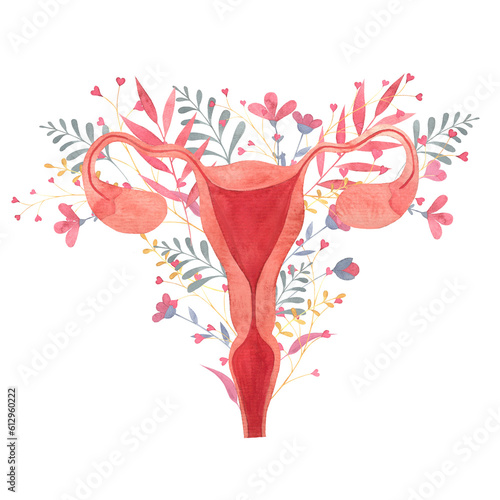 uterus painted in watercolor on a background of flowers, female reproductive organ, fallopian tubes, ovaries, cervical canal, isolated hand drawn illustration