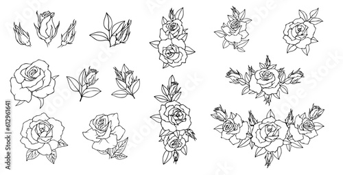 Set of sketches of flowers and rose buds. Vector graphics.