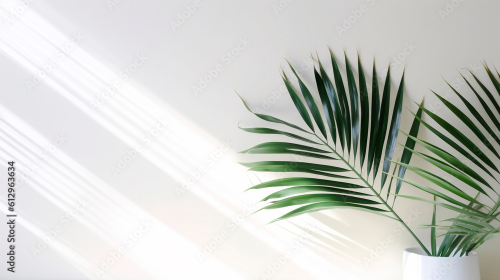 green palm leaf on white wall background. Generative Ai. green palm leaf on white wall background. Generative Ai.