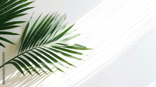 palm tree on white wall background. Generative Ai. 
