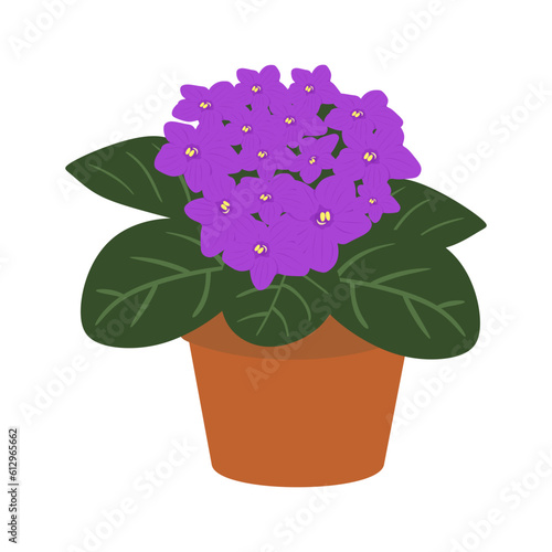 Violet plant in flower pot isolated. Violet plant or flowers in flat vector illustration. Indoor plant for home, office, premises decor. House plant Vector