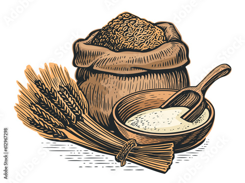Wheat ears, grains and flour in sack. Organic farm food. Vector illustration