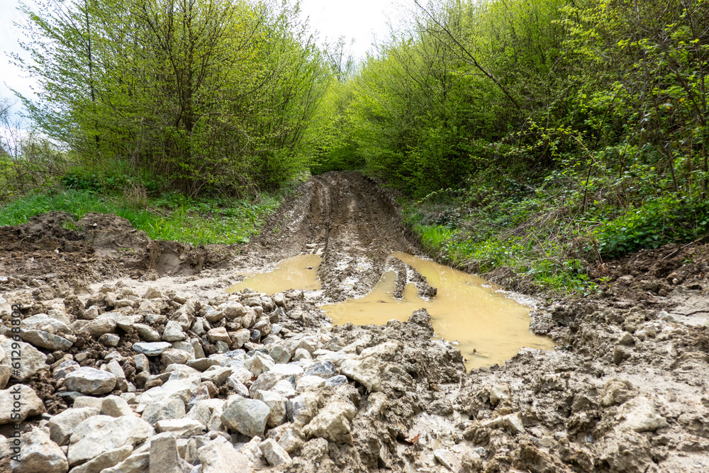 Obraz premium Muddy forest road in nature with tire tracks of tractors and off-road vehicles