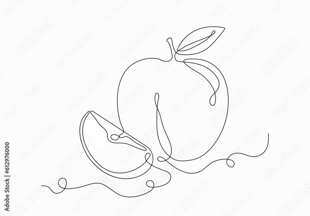 Fruit apple continious line vector