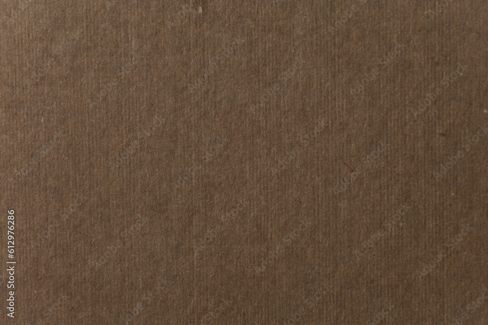 Kraft paper texture. Carton background. Blank sheet of brown kraft paper Kraft paper texture. Carton background. Blank sheet of brown kraft paper