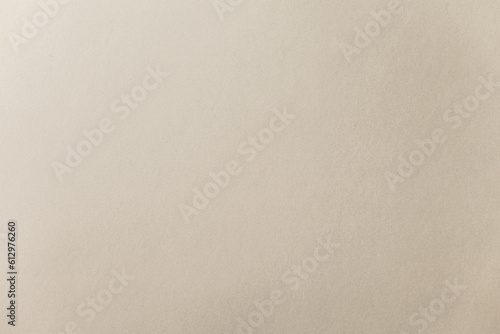 Kraft paper texture. Carton background. Blank sheet of brown kraft paper