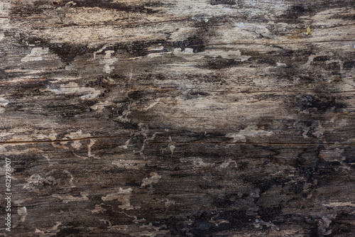 Brown wood plank texture background