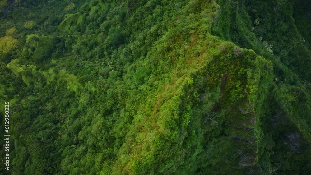 Green Mountains Of Hawaiian Valley Green Mountains Of Hawaiian Valley