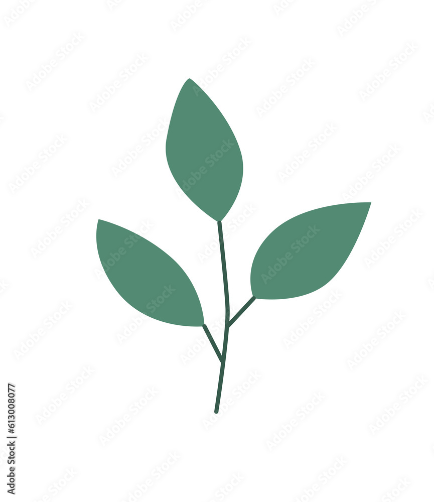 leaf leaf