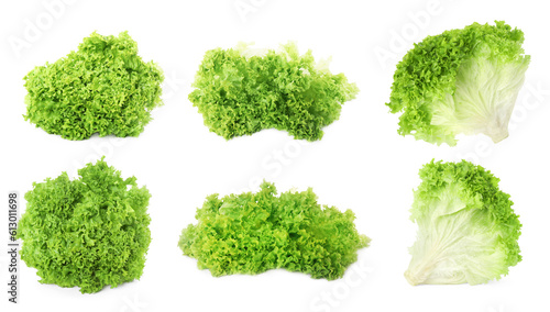 Collage with fresh lettuce on white background