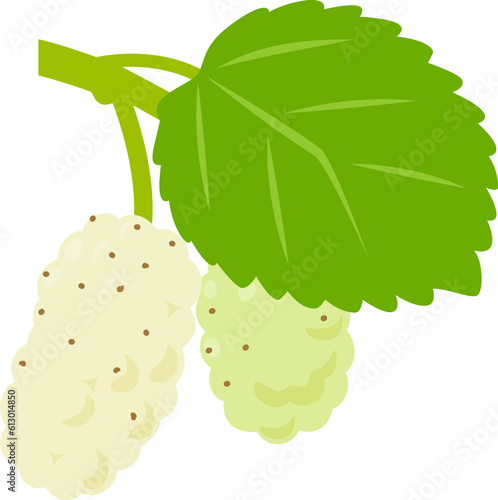 ホワイトマルベリーの実と葉