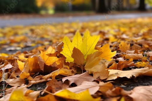 yellow leaves on ground realistic photography realism hd. Generative AI